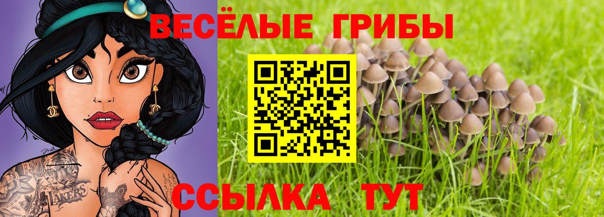 Псилоцибиновые грибы мицелий  Вход с VPN  Коркино 